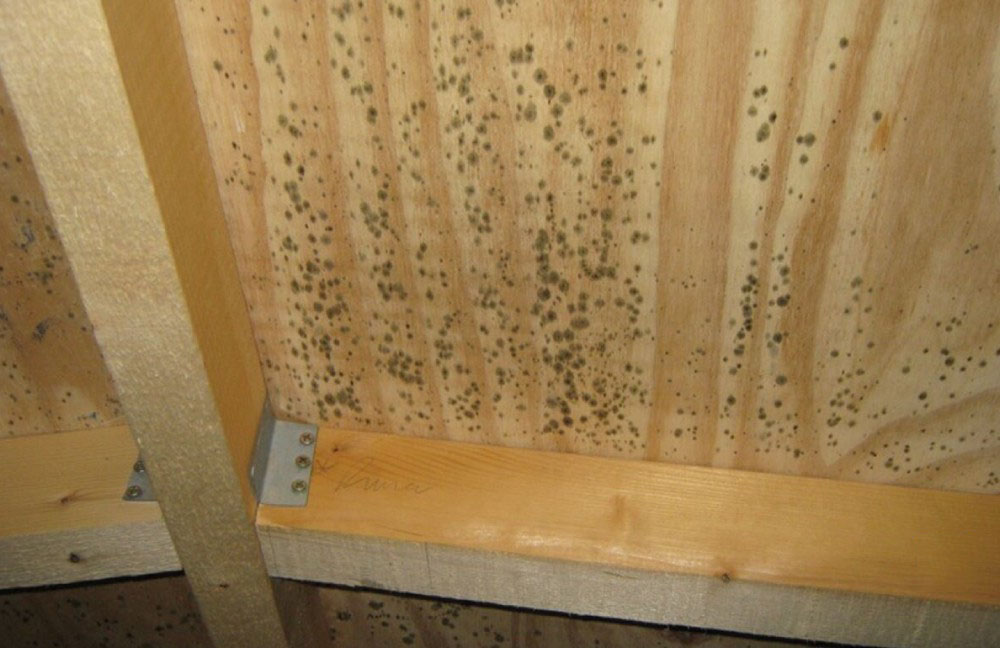 How To Fight Against Mold And Mildew In Your Wooden Furniture Effectively Use Electronics Vietnam Co Ltd - How Do You Get Mould Off Wooden Furniture